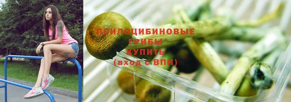 ALPHA PVP Остров