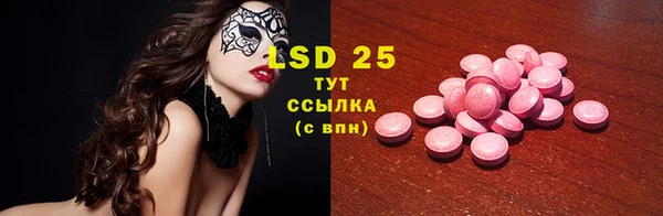 хмурый Абаза
