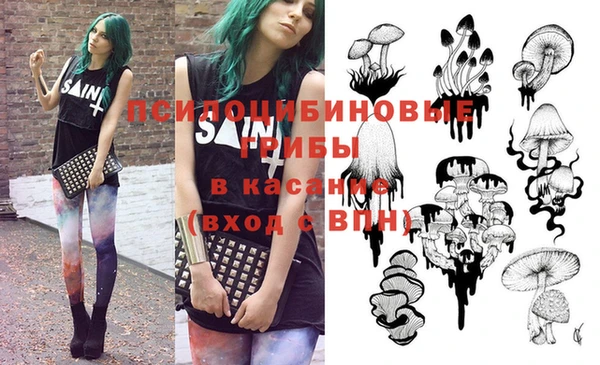 крисы Туринск