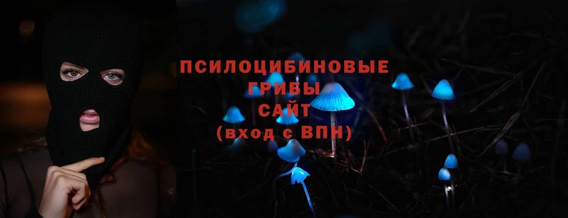 Псилоцибиновые грибы Cubensis  Серафимович 