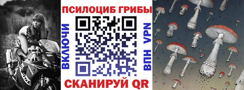 Псилоцибиновые грибы MAGIC MUSHROOMS  Серафимович 